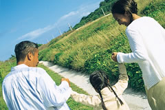 ���N�㌩�ɂ���